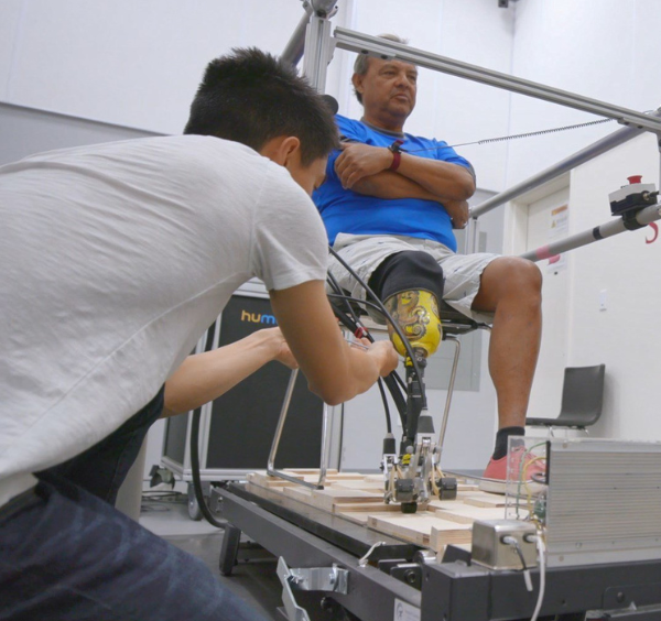 Optimizing Ankle-Foot Prosthesis Mechanics