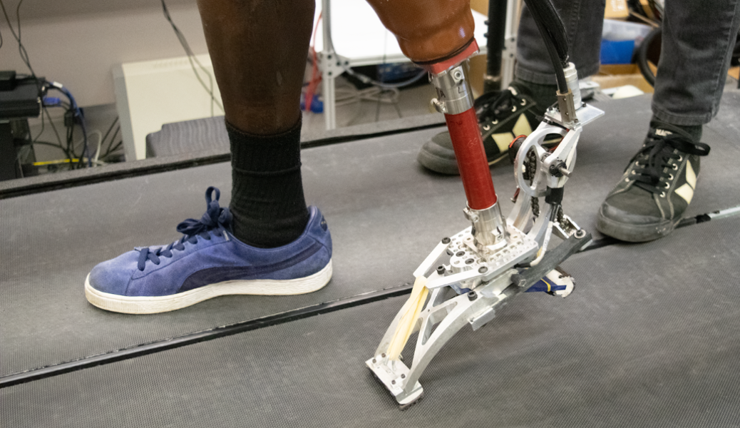 Optimizing Ankle-Foot Prosthesis Mechanics
