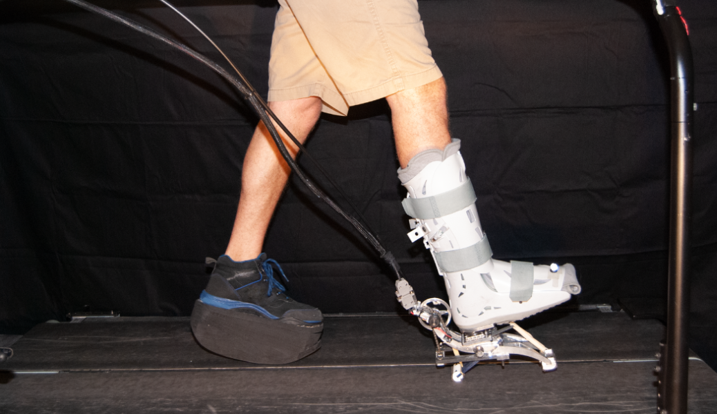 Optimizing Ankle-Foot Prosthesis Mechanics