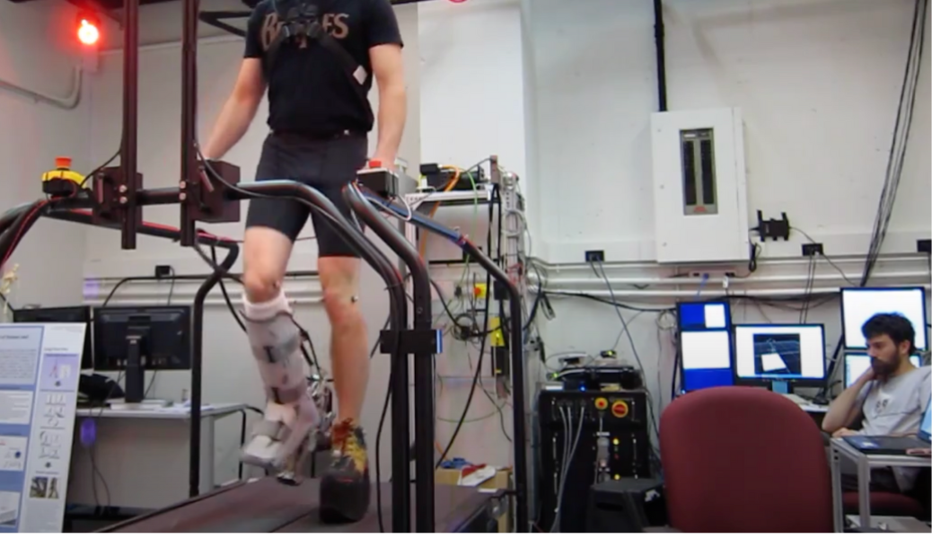 Optimizing Ankle-Foot Prosthesis Mechanics